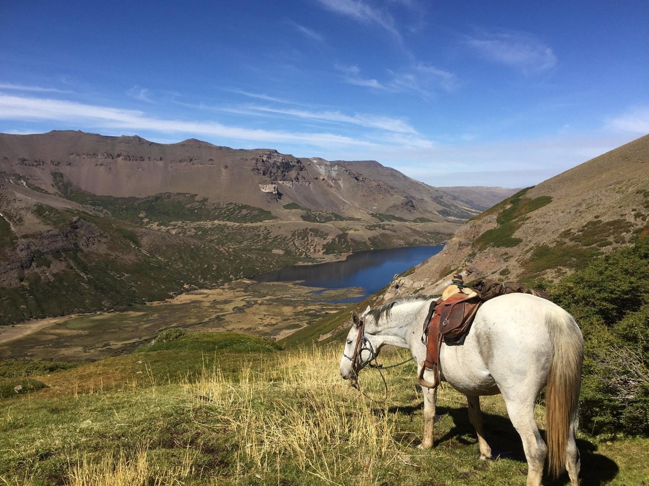 venta de campo en neuquen
