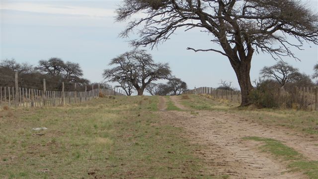 Campo en la pampa a la venta