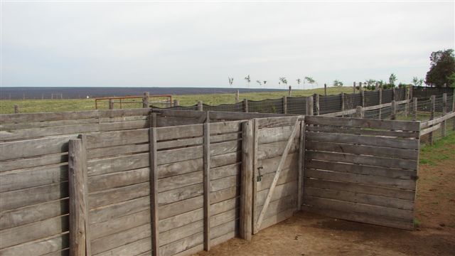 Corrales