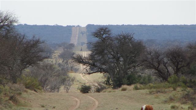 Vista del Campo