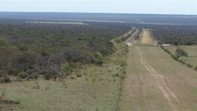 Vista del Campo