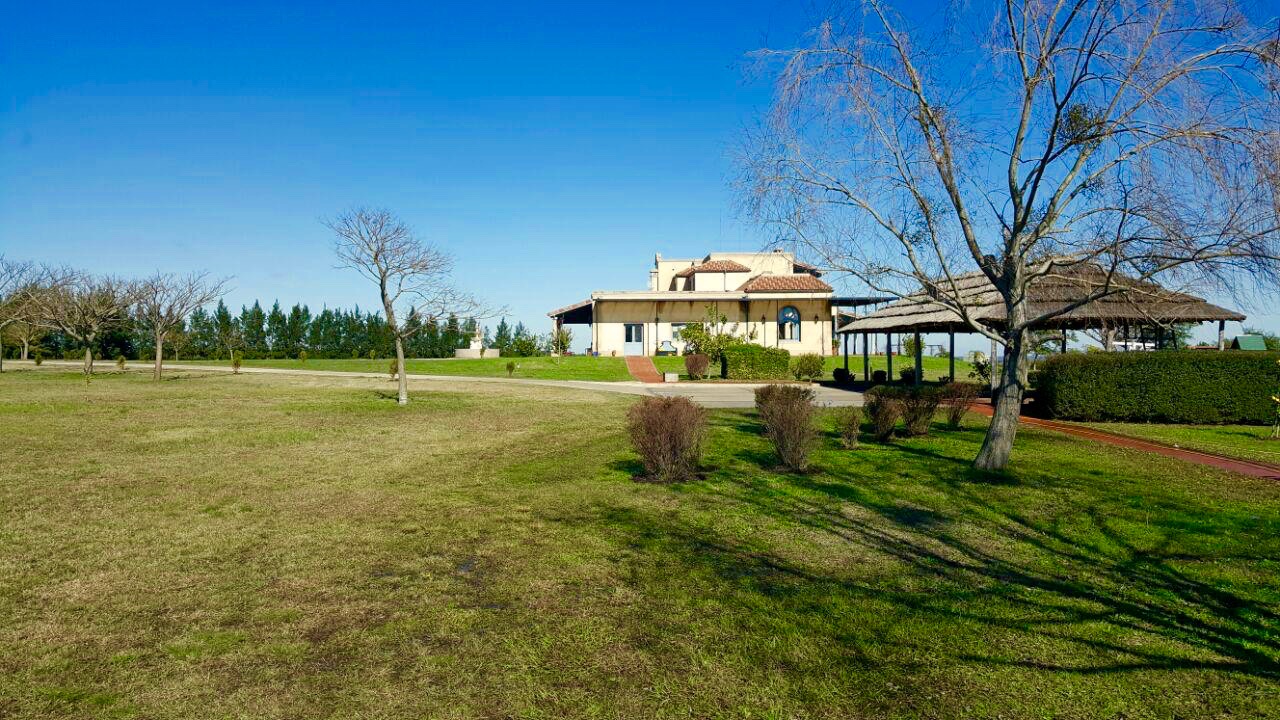 Vista del Campo
